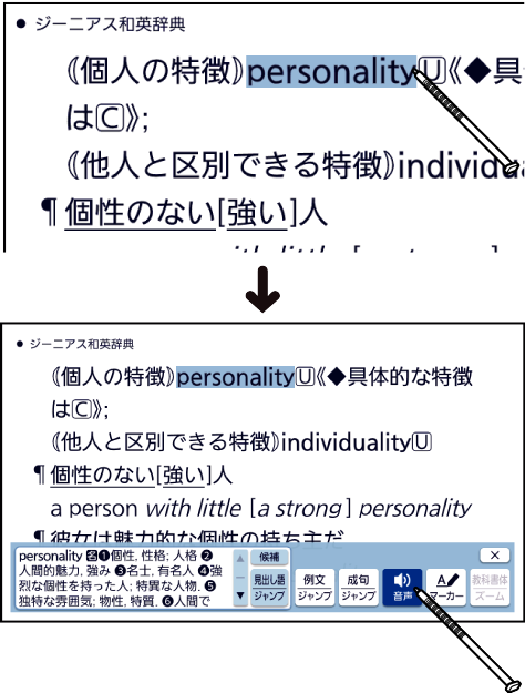 Listen_To_The_Voice 004 SB6880